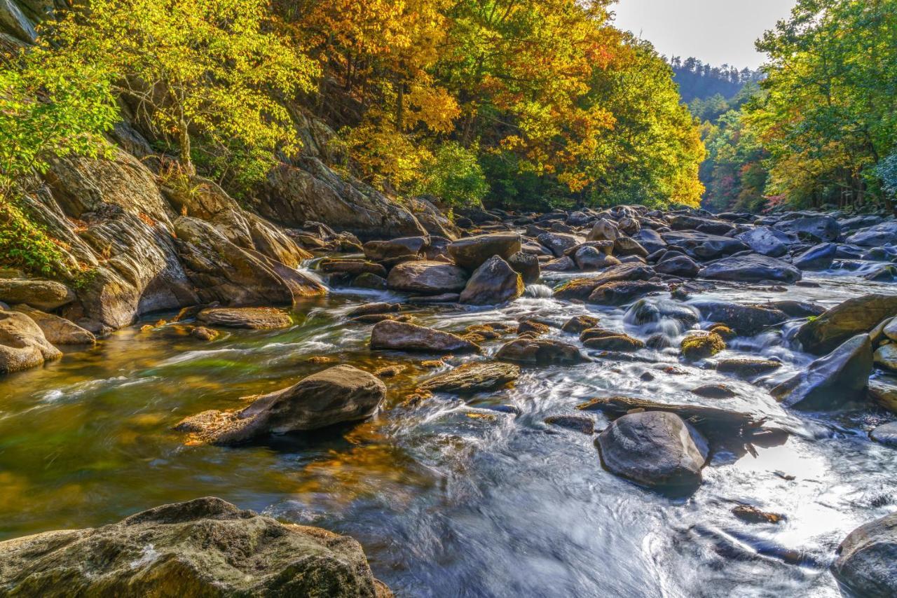 Buckhorn Villa Gatlinburg Dış mekan fotoğraf